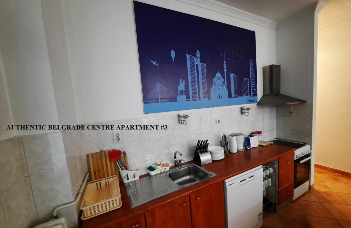 Authentic Belgrade Centre Apartments For Large Groups, Republic Square - Up To 47 People In 5 Apartments Exteriér fotografie
